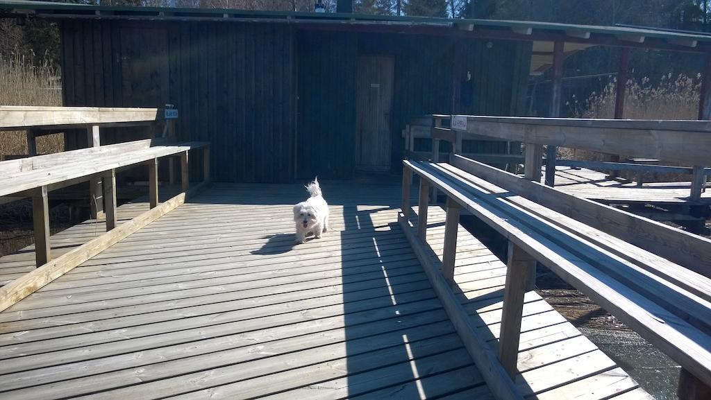 Lomakeskus Koivukankare Kaarina Exterior foto